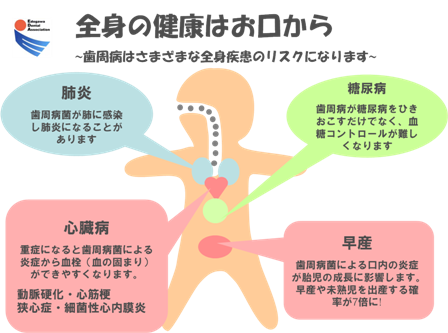 全身の健康はお口からのイメージ