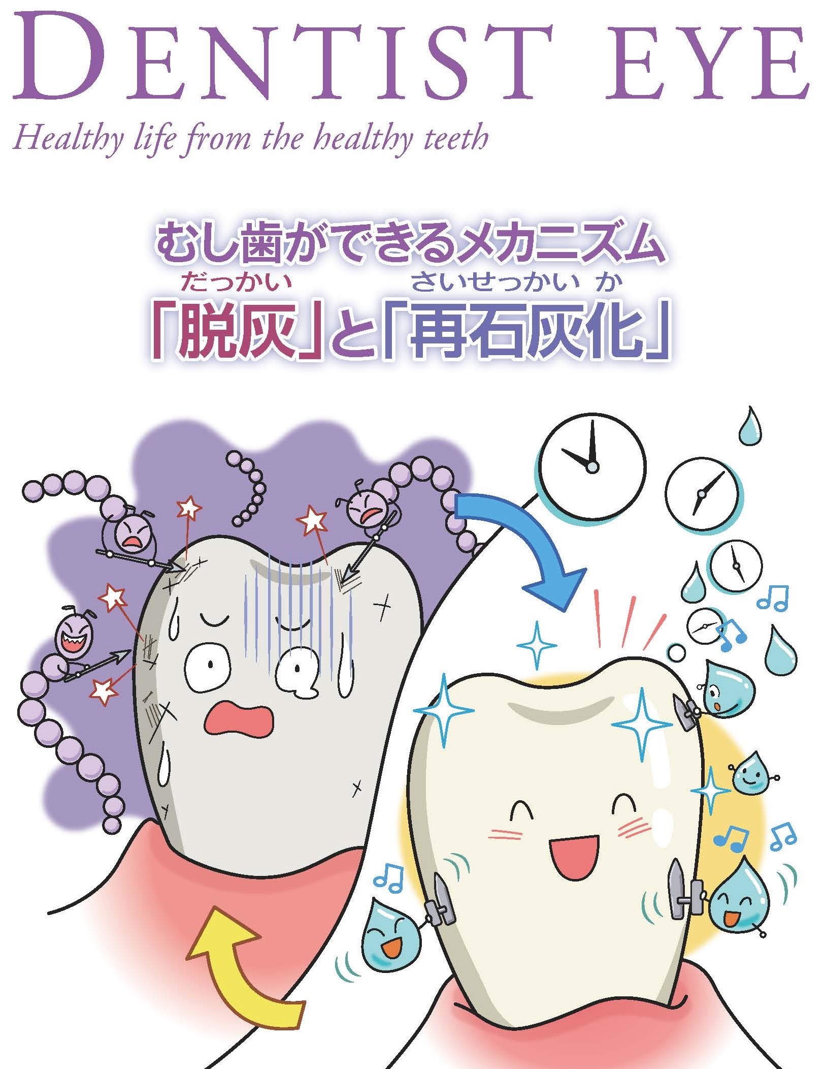 むし歯ができるメカニズム「脱灰」と「再石灰化」のイラスト