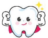 歯のイラスト　テキスト下