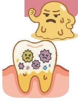 バイオフィルムのイラスト