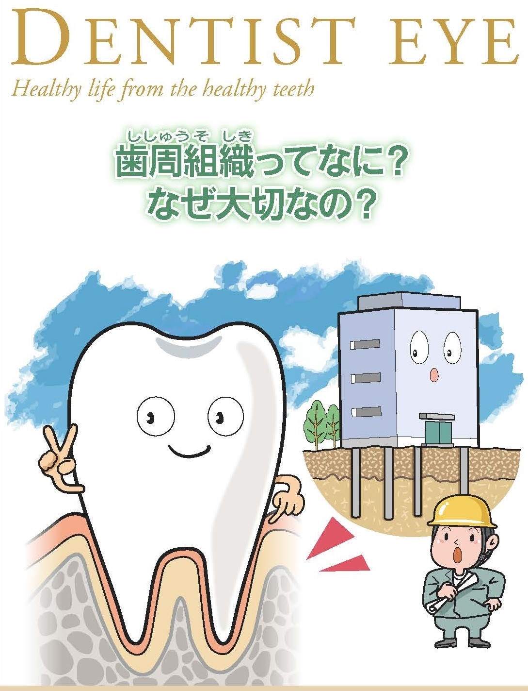 歯周組織ってなに？なぜ大切なの？のイラスト